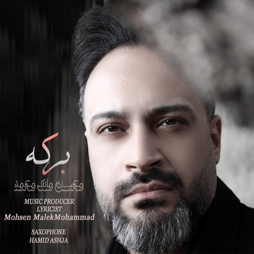 محسن ملک محمد برکه